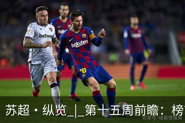 苏超·纵览 | 第十五周前瞻：榜首之位悬念再起，两位"南哥"同一种烦恼